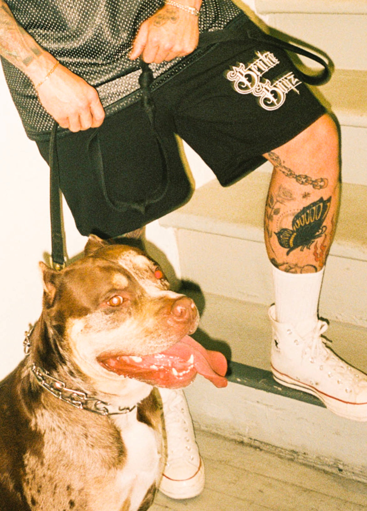 Shorts black