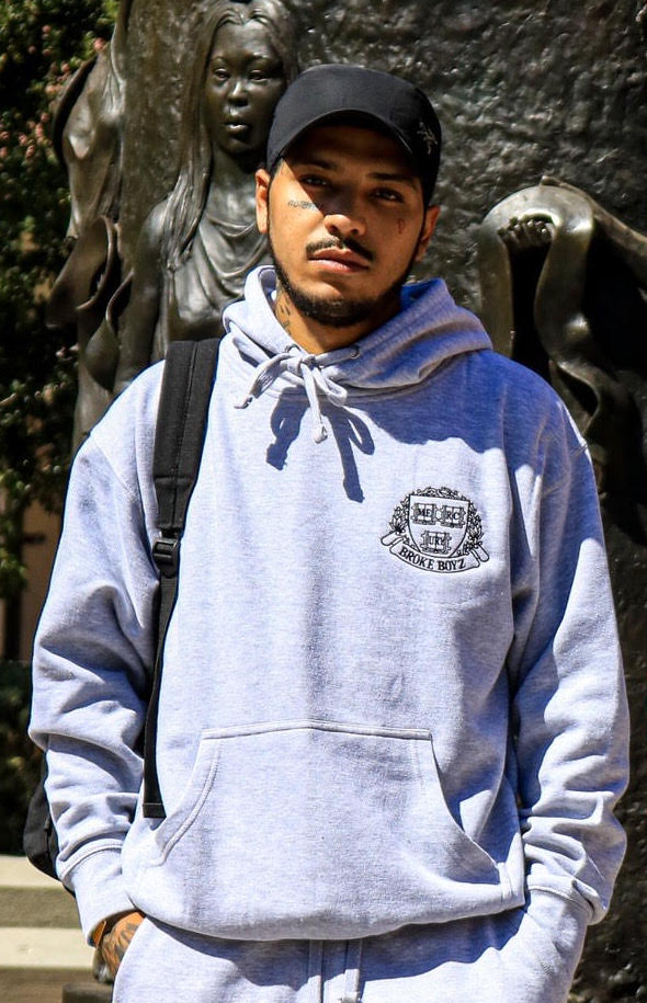 Shield grey hoodie