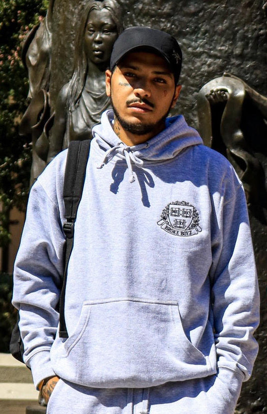 Shield grey hoodie