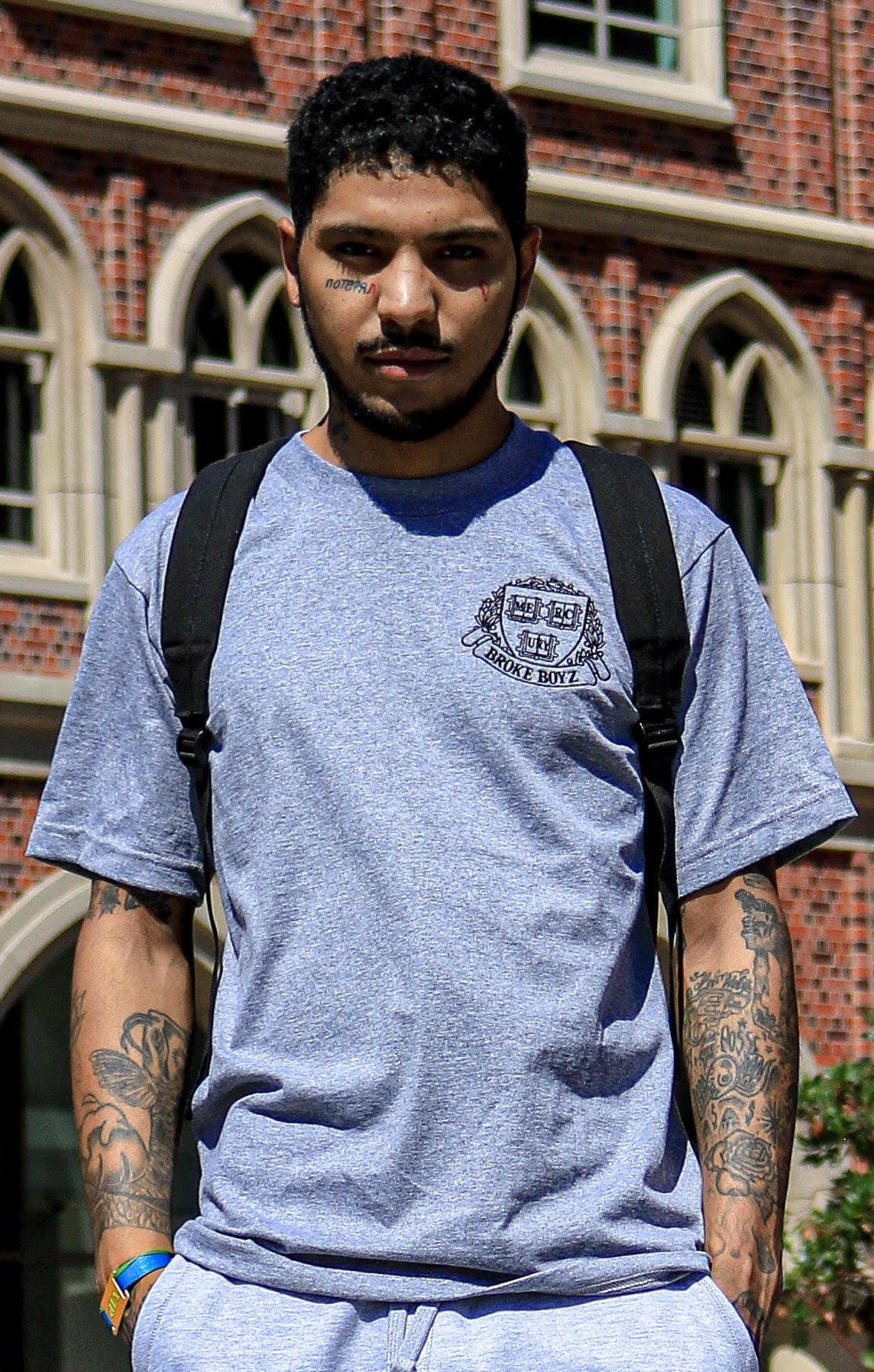 Shield Grey tee